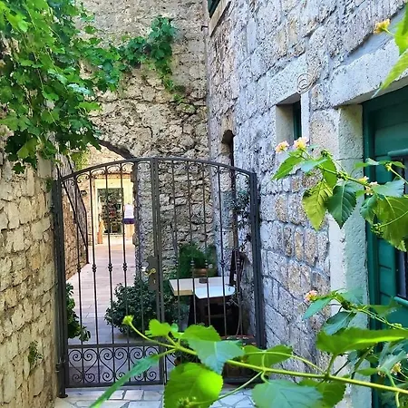 Center Omis