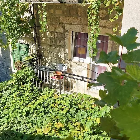 Center Omis
